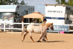SBM_10986