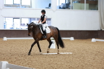 SBM_011491