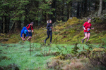 Glentress-1965