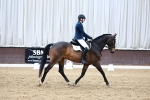 SBM_002231