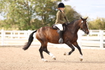 SBM_18038