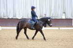 Class 3-6 - Prelim 1-Novice 2 portfolio