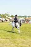 SBM_13357