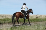 SPXX0633