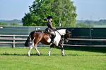 SBM_11487