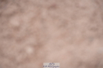 240505A-085900-03990