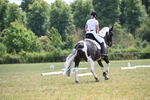 WJ6_7931