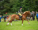 Dunblane show-467