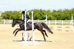 SBM_007343