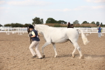 SBM_08210