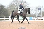 227-Jo.Roberts-Majestic.C portfolio