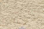 230721A-143255-06963