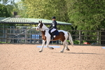 WJ6_6775
