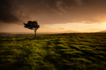 At the end of the storm