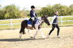 SBM_000276
