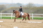 SBM_006775