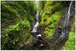 Ess-na-Larach, Glenariff Forest (IMG0887)