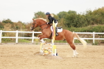 SBM_008353