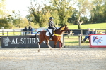SBM_54356