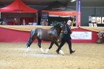 SBM_16687