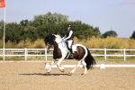 SBM_008634