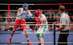 BOUT-7 - Rory Bisson v Rayhan Bhatti-10