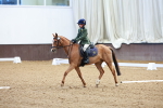 SBM_000085