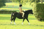 SBM_59121