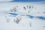 Kongsfjordfjellet, Varanger peninsula, Finnmark, Norway