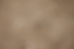 20260913-0595