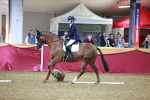 SBM_06689