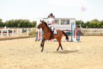 SBM_003829