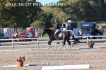BPP_9288