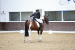SBM_001631