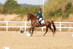 SBM_017536