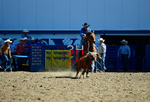 3HRodeo8-11-25_PRCASteer_01728_
