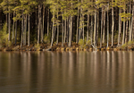 Loch Mallachie, Cairngorms national park