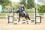 SBM_008040