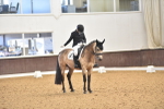 SBM_010333