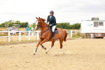 SBM_005208