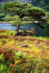 20100827_0226_2