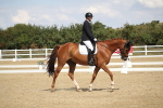 SBM_001442