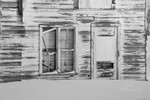 Still Standing BW