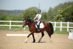 SBM_008809
