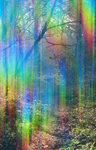 23rd March Light Codes