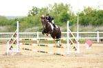 SBM_009636