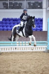 SBM_004144