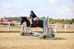 SBM_006141