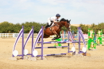 SBM_003602
