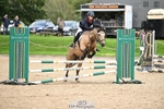 NSEA Showjumping Sunday 29th - Click to Enter portfolio